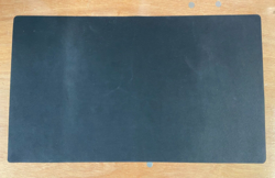 Zacian Playmat - Pokemon Regional Championships - Image 2