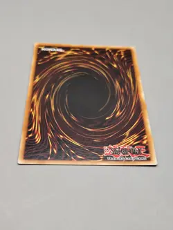 Yu-Gi-Oh! Dragonbite 1st Ed. BACH-EN081 Ultra Rare NM - Image 3