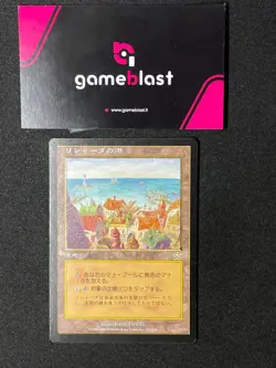 MAGIC MTG | Rishadan Port | Maschere di Mercadia - Image 1