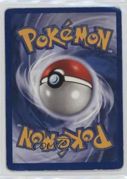 Pidgeot Holo Dutch Pokemon Jungle #8 1999 - Image 2