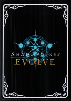 Lot Of 100 Random Shadowverse: Evolve Cards - Image 1