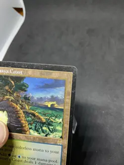 Yavimaya Coast Apocalypse Regular MTG 143 HP - Image 2