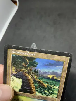 Yavimaya Coast Apocalypse Regular MTG 143 HP - Image 3