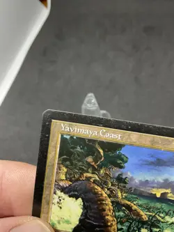 Yavimaya Coast Apocalypse Regular MTG 143 HP - Image 4