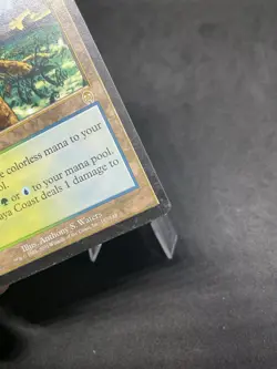 Yavimaya Coast Apocalypse Regular MTG 143 HP - Image 5
