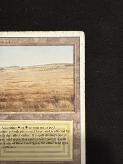 🔥Magic The Gathering Savannah Revised Edition MP/HP Dual Land 🔥🔥 - Image 3