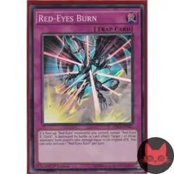 Yugioh Red-Eyes Burn DRL2-EN021 Super Rare 1st Edition - Image 1
