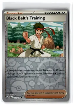 2025 Scarlet & Violet Series - Journey Together Black Belt's Training #144 - Image 1