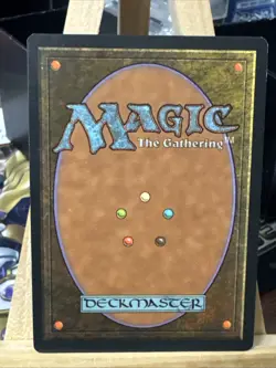 MTG *City of Solitude X1* (MP) Visions Magic the Gathering Free Shipping - Image 2