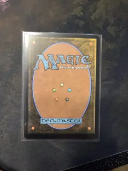 MTG Secret Lair Artist Series KIERAN YANNER Northern Paladin non foil - Image 2