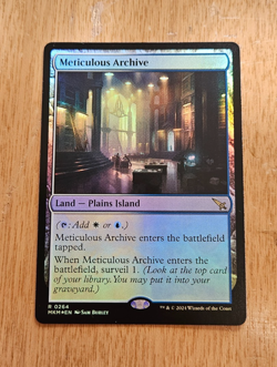Foil Meticulous Archive 264 Magic the Gathering card - Image 2
