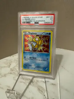 2016 Pokemon XY Black Star Promo #XY143 Magikarp Holo PSA 5 - Image 2
