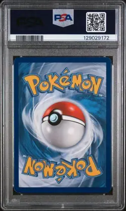 2016 Pokemon XY Black Star Promo #XY143 Magikarp Holo PSA 5 - Image 4