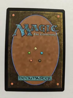 Near Mint x 1 Adarkar Wastes - Foil Dominaria United - Image 2