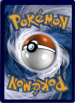 Charizard VSTAR SWSH262 Pokemon Sword & Shield Promo - Image 2