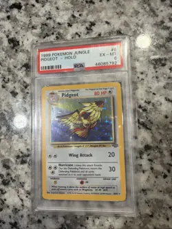 Pokemon Pidgeot TCG Jungle Holo Card 8/64 PSA 6 - Image 1