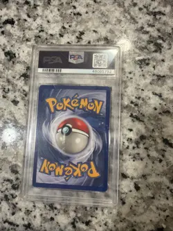 Pokemon Pidgeot TCG Jungle Holo Card 8/64 PSA 6 - Image 2