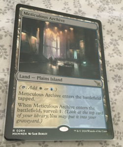 METICULOUS ARCHIVE FOIL R 0264 MKM NM MTG MAGIC THE GATHERING - Image 1