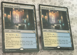 METICULOUS ARCHIVE x2 REGULAR NON-FOIL R 0264 MKM NM MTG MAGIC THE GATHERING - Image 1