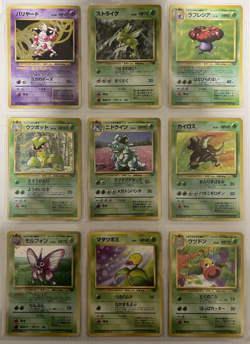 Pokemon Card COMPLETE Jungle Master Set 48/48 1999 Japanese - Image 3