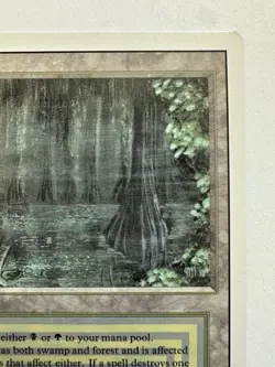 Bayou Mtg Dual Land Bayou Revised Edition See For Pics Condition Read Desc. - Image 3