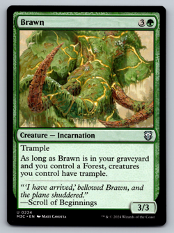 Brawn U 0224 Modern Horizons 3 Regular M3C - Image 1