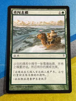 Magic the Gathering MTG Coldsnap INTO THE NORTH Chinese - Image 1
