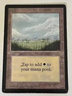 Magic the Gathering MTG Beta Plains v.1 (TREES) MP (Beta Bob) - Image 1