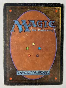Plains (C) - Beta Edition - Magic the Gathering - HP - Image 2