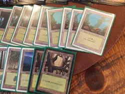 Magic the Gathering TCG Lot of Foil Full Art and Old Lands, Total in Description - Image 5