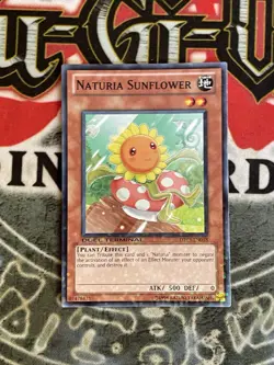 Yugioh! LP Naturia Sunflower - DT03-EN018 - Common - Duel Terminal Lightly Playe - Image 1