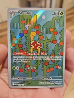 Shuckle - 136/132 Pokemon TCG Mega Evolution Illustration Rare Pokemon Card - Image 1