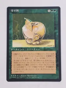 MTG Lure (Japanese 4th Edition (BB)/Green/U) - BGM - Image 1