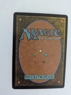 Hallowed Fountain Return to Ravnica MTG NM Free shipping with tracking - Image 2