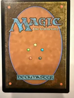 MTG: Hedge Maze Borderless Regular Murders of Karlov Manor 326 -NM - Image 2