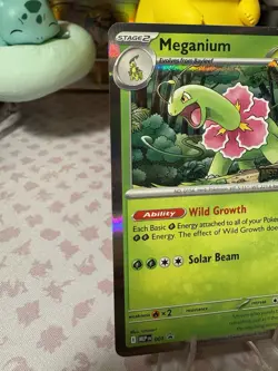 pokemon Mega Evolution Build And Battle Promo Decks Of 2 - Lunatine - Meganium - Image 3