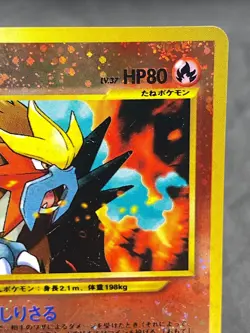 Entei Holo Reverse 244 Promo Neo Binder Japanese Pokemon Card - Image 3