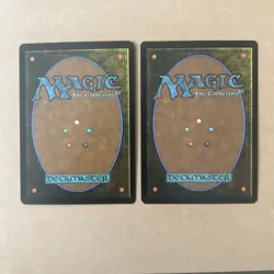 MTG Walking Archive X2 LP Dissension Magic the Gathering English Regular 2X - Image 2