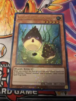 Yugioh Naturia Bamboo Shoot HAC1-EN111 Duel Terminal Ultra 1st EditionNear Mint - Image 1