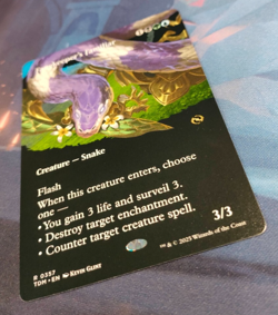 Fangkeeper's Familiar (Borderless) - Tarkir Dragonstorm - NM (see pics) MTG - Image 3