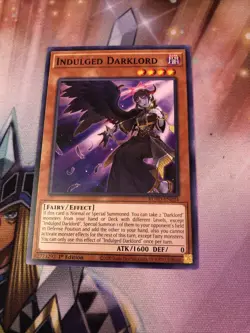 Yu-Gi-Oh! TCG, Indulged Darklord, Rise of the Duelist ROTD-EN024 1st Ed. Common - Image 1