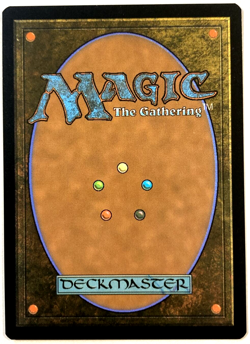 MTG Second Harvest BORDERLESS HILDEBRANT ART The Lord of the Rings 0530 NM - Image 2