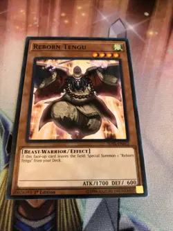 Yu-Gi-Oh! Reborn Tengu - SDPL-EN012 - Common - 1st Edition New???? - Image 1