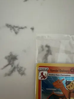 Pokemon TCG Special Delivery Charizard SWSH075 SEALED - Image 2