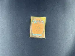 White Bordered Basic Lands MTG - Image 4