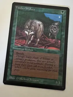 Magic the Gathering MTG Beta Timber Wolves NM (Beta Bob) - Image 1