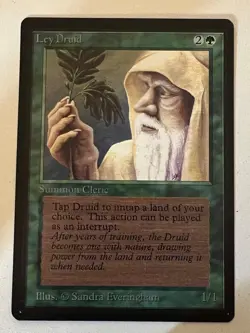Magic the Gathering MTG Beta Ley Druid NM (Beta Bob) - Image 1