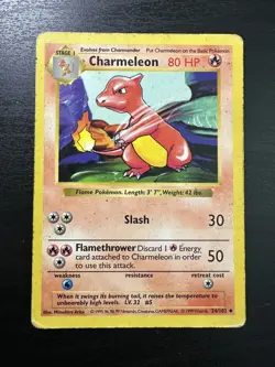 Charmeleon (Shadowless) - 24/102 Base Set - WOTC - Pokemon TCG - LP - Image 1