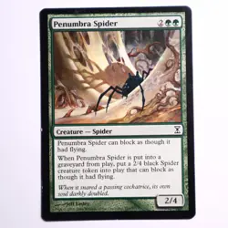 MTG Green - Penumbra Spider - 210 - Time Spiral - Creature - Magic the Gathering - Image 1