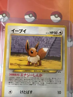 Eevee Neo Premium File 2 Regular (Japanese) Pokemon TCG Near Mint - Image 2